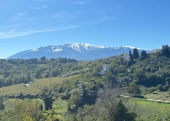 Top Holiday Homes | Bed and breakfast
