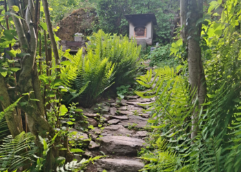 Top Holiday Homes | Bed and breakfast