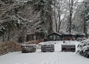 Top Holiday Homes | Bed and breakfast