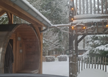 Top Holiday Homes | Bed and breakfast