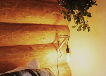 Top Holiday Homes | Bed and breakfast