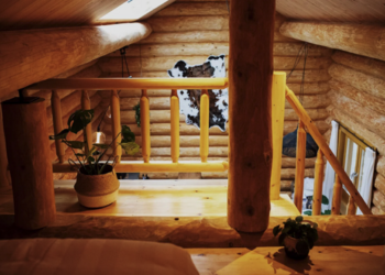 Top Holiday Homes | Bed and breakfast