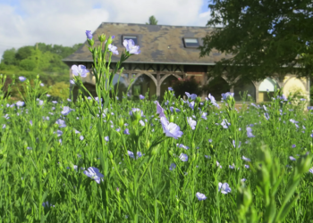 Top Holiday Homes | Bed and breakfast