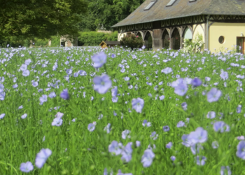 Top Holiday Homes | Bed and breakfast