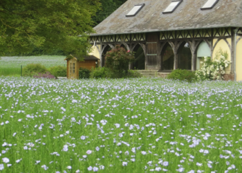 Top Holiday Homes | Bed and breakfast