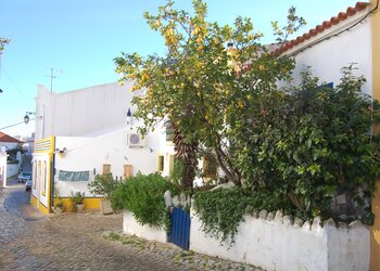Top Holiday Homes | Bed and breakfast