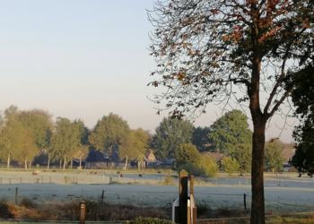 Top Holiday Homes | Bed and breakfast