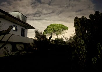 Top Holiday Homes | Bed and breakfast