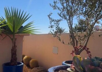 Top Holiday Homes | Bed and breakfast