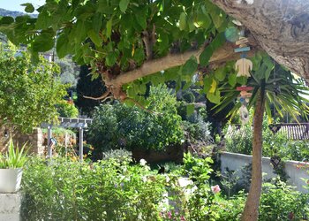 Top Holiday Homes | Bed and breakfast