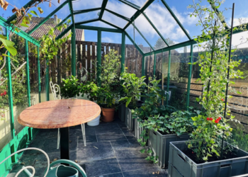 Top Holiday Homes | Bed and breakfast