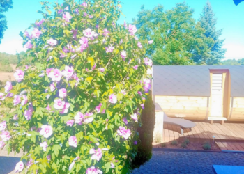 Top Holiday Homes | Bed and breakfast