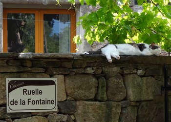Top Holiday Homes | Bed and breakfast