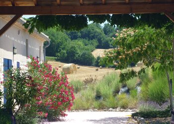 Meilleures maisons de vacances | Lit et petit déjeuné