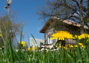 Meilleures maisons de vacances | Lit et petit déjeuné