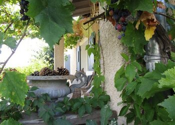 Meilleures maisons de vacances | Lit et petit déjeuné