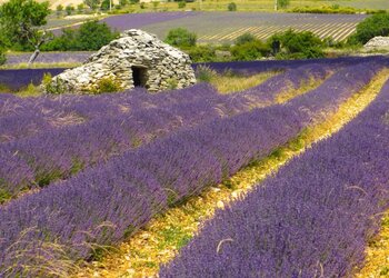 Domaine Château des Gipières: STUDIO PARKZIJDE (1-2P) - Meilleures maisons de vacances | Lit et petit déjeuné