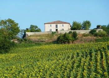 Meilleures maisons de vacances | Lit et petit déjeuné