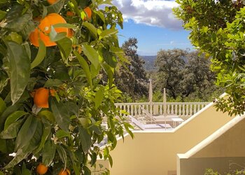 Meilleures maisons de vacances | Lit et petit déjeuné