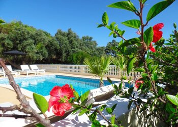 Meilleures maisons de vacances | Lit et petit déjeuné