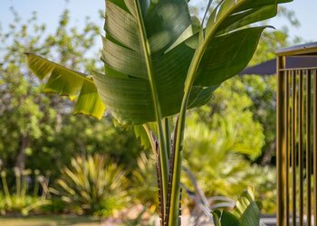 Meilleures maisons de vacances | Lit et petit déjeuné