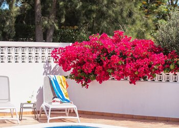 Meilleures maisons de vacances | Lit et petit déjeuné