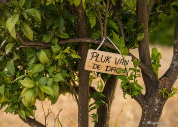 Meilleures maisons de vacances | Lit et petit déjeuné