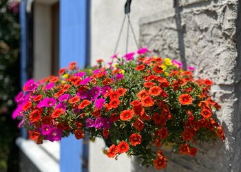 Meilleures maisons de vacances | Lit et petit déjeuné