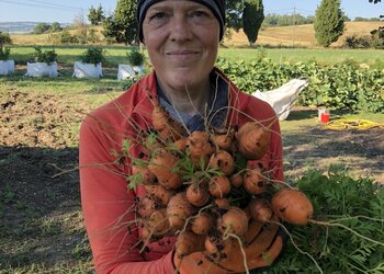 Domaine de Rigou - Meilleures maisons de vacances | Lit et petit déjeuné