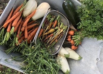 Domaine de Rigou - Meilleures maisons de vacances | Lit et petit déjeuné