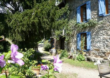 Meilleures maisons de vacances | Lit et petit déjeuné