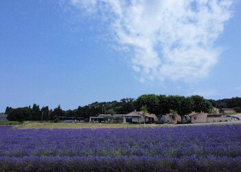 Meilleures maisons de vacances | Lit et petit déjeuné