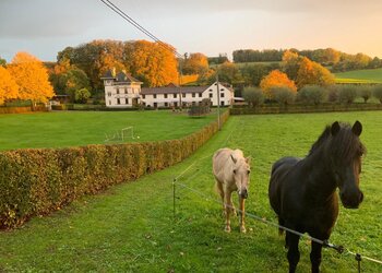 Meilleures maisons de vacances | Lit et petit déjeuné