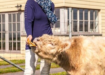 Meilleures maisons de vacances | Lit et petit déjeuné