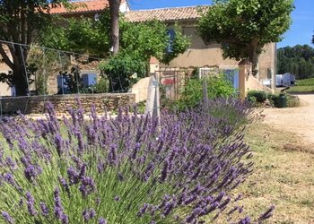 Meilleures maisons de vacances | Lit et petit déjeuné