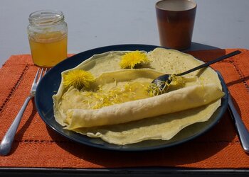 Meilleures maisons de vacances | Lit et petit déjeuné