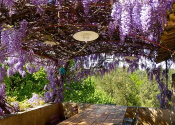 Meilleures maisons de vacances | Lit et petit déjeuné