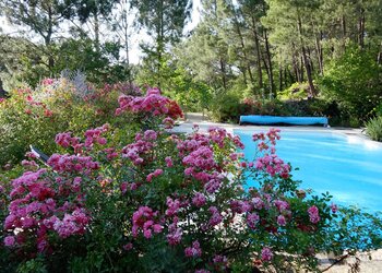 Meilleures maisons de vacances | Lit et petit déjeuné