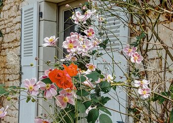 Meilleures maisons de vacances | Lit et petit déjeuné