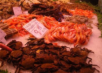 Meilleures maisons de vacances | Lit et petit déjeuné