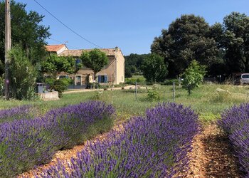 Meilleures maisons de vacances | Lit et petit déjeuné