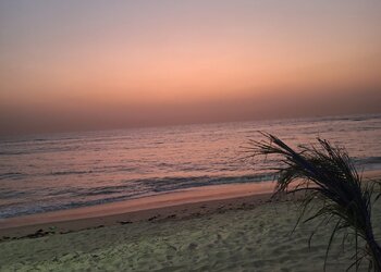 Meilleures maisons de vacances | Lit et petit déjeuné