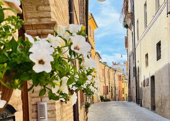 Meilleures maisons de vacances | Lit et petit déjeuné