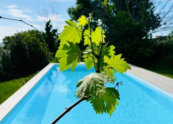 Meilleures maisons de vacances | Lit et petit déjeuné