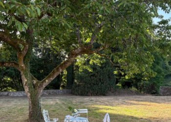 Meilleures maisons de vacances | Lit et petit déjeuné