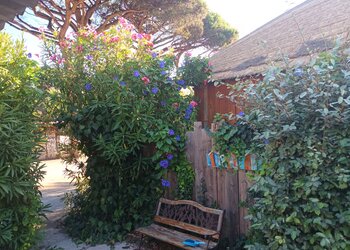 Meilleures maisons de vacances | Lit et petit déjeuné