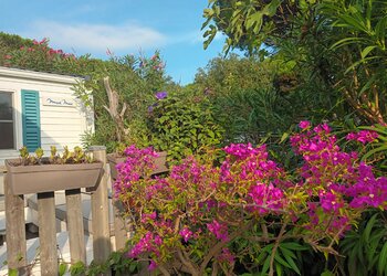 Meilleures maisons de vacances | Lit et petit déjeuné