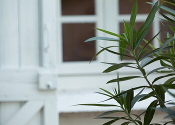 Meilleures maisons de vacances | Lit et petit déjeuné
