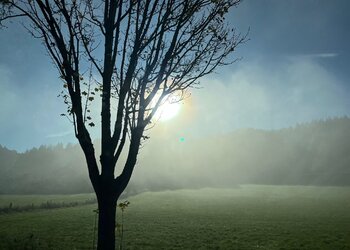 Meilleures maisons de vacances | Lit et petit déjeuné