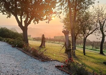 Meilleures maisons de vacances | Lit et petit déjeuné
